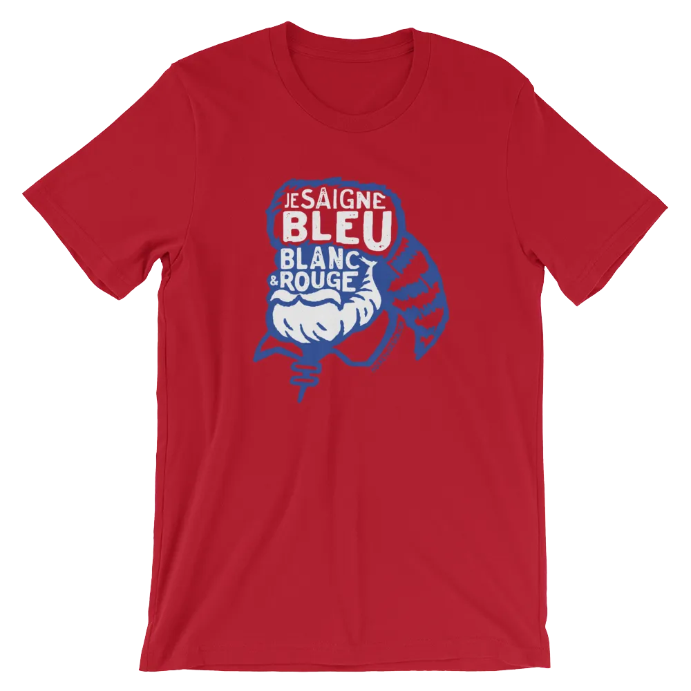 Bleu Blanc et Rouge Voyageur