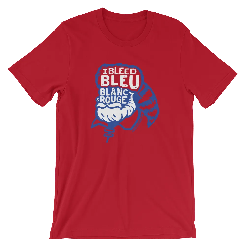 Bleu Blanc et Rouge Voyageur