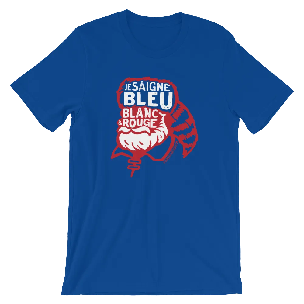 Bleu Blanc et Rouge Voyageur