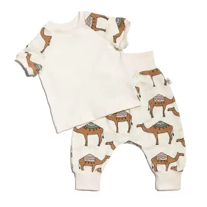 Camel Cream