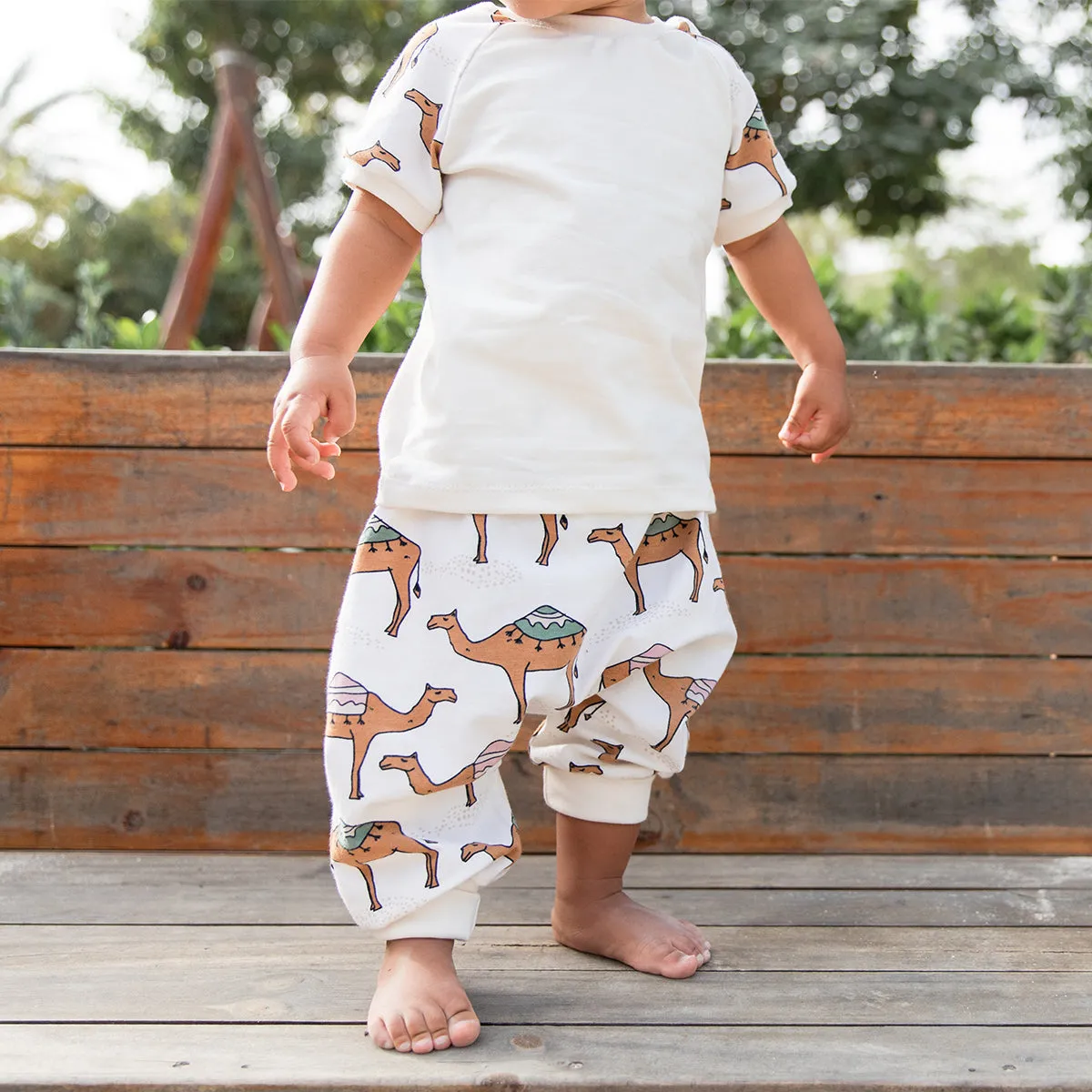 Camel Cream