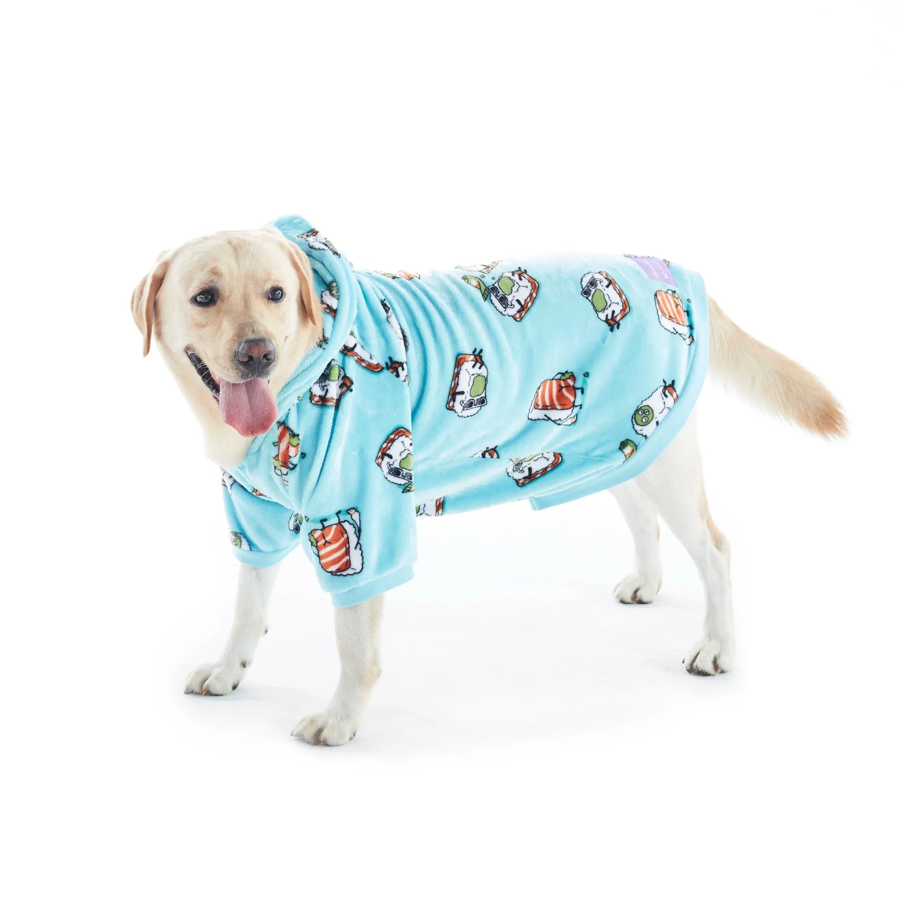 Charlie's Uggo Wassup'b Dog Hoodie Teal Large