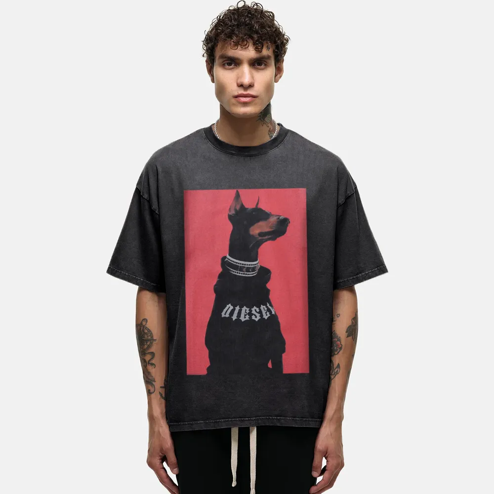 Collar Sweatshirt Doberman Pinscher Washed T-Shirt