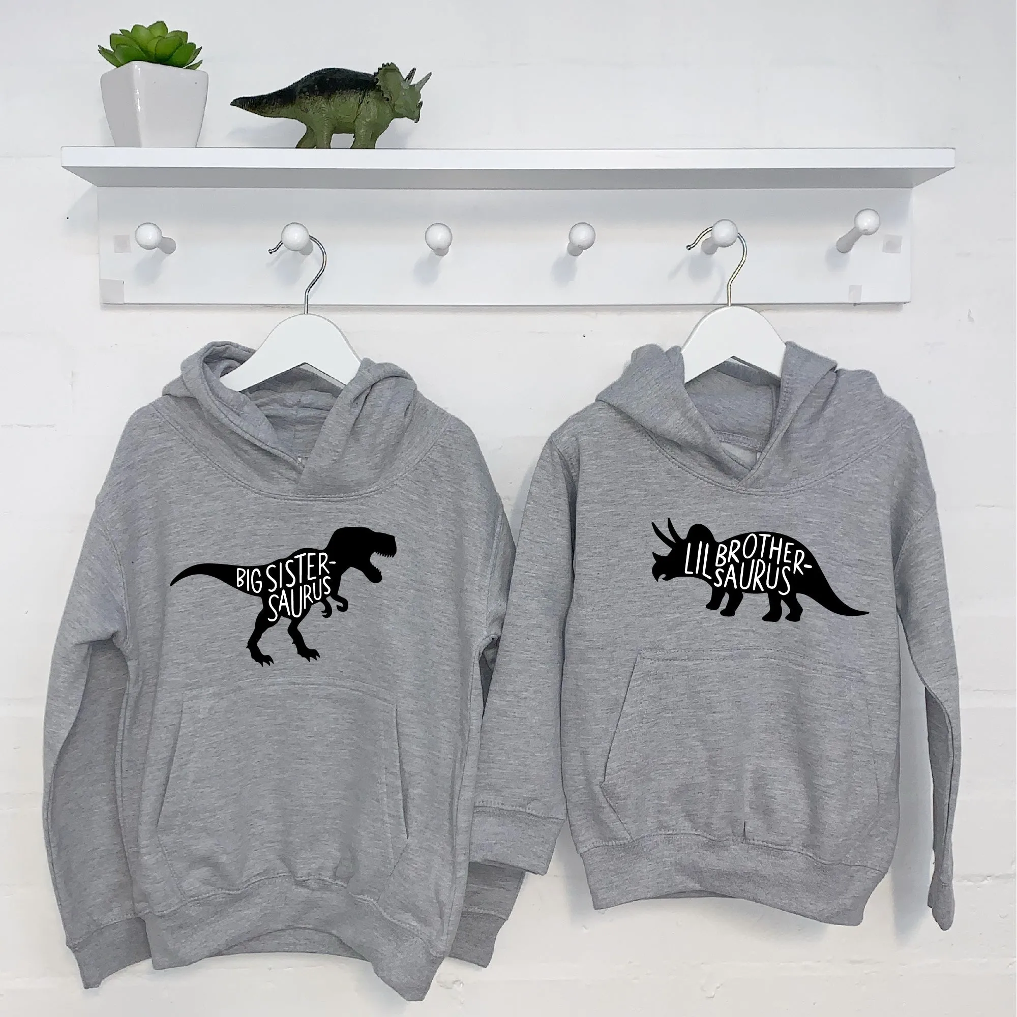 Dinosaur Brother Sister Hoodie Set