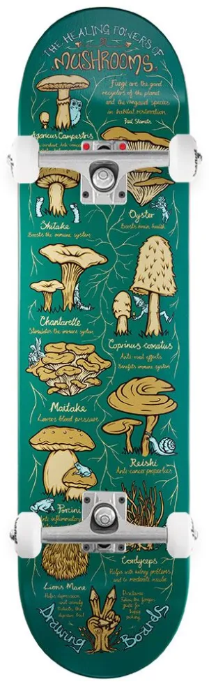 Drawing Boards Shroom Custom Complete Skateboard - 8.5"