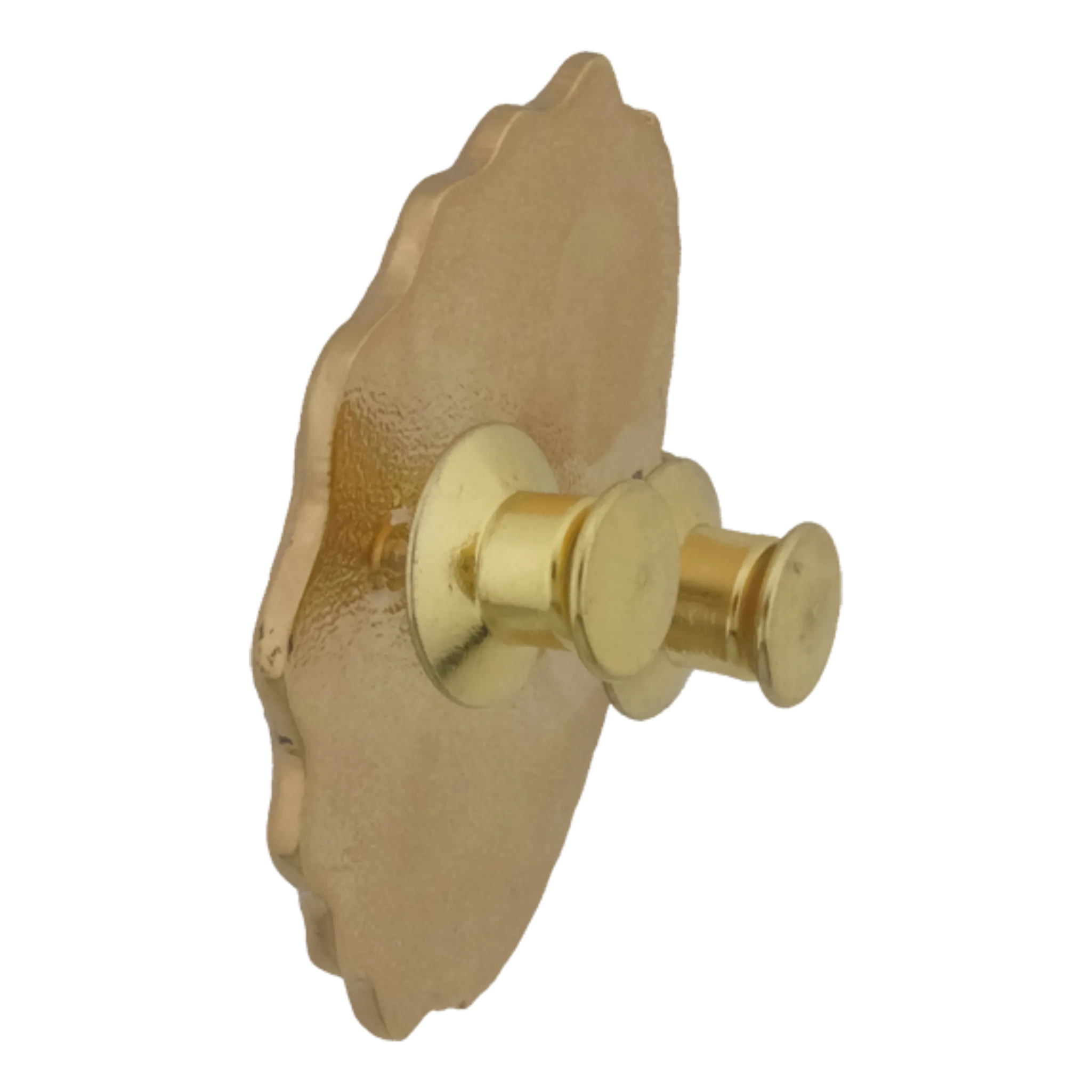 Finance Course Pin - PNP