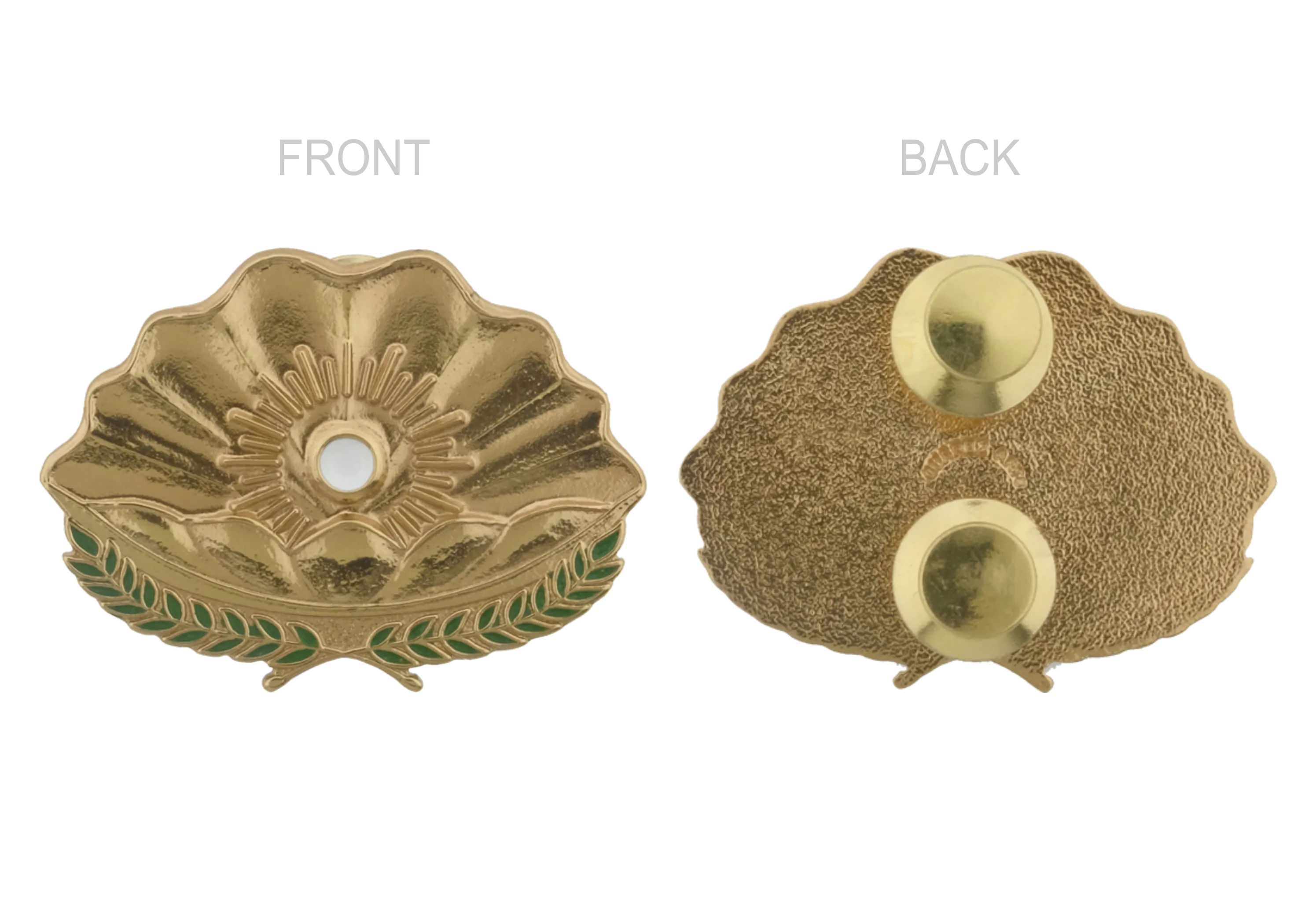 Finance Course Pin - PNP