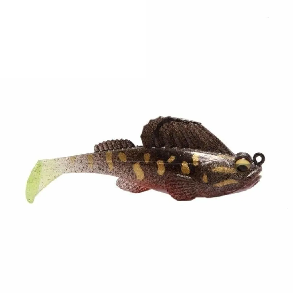 FISHMAN Phantom Gobi