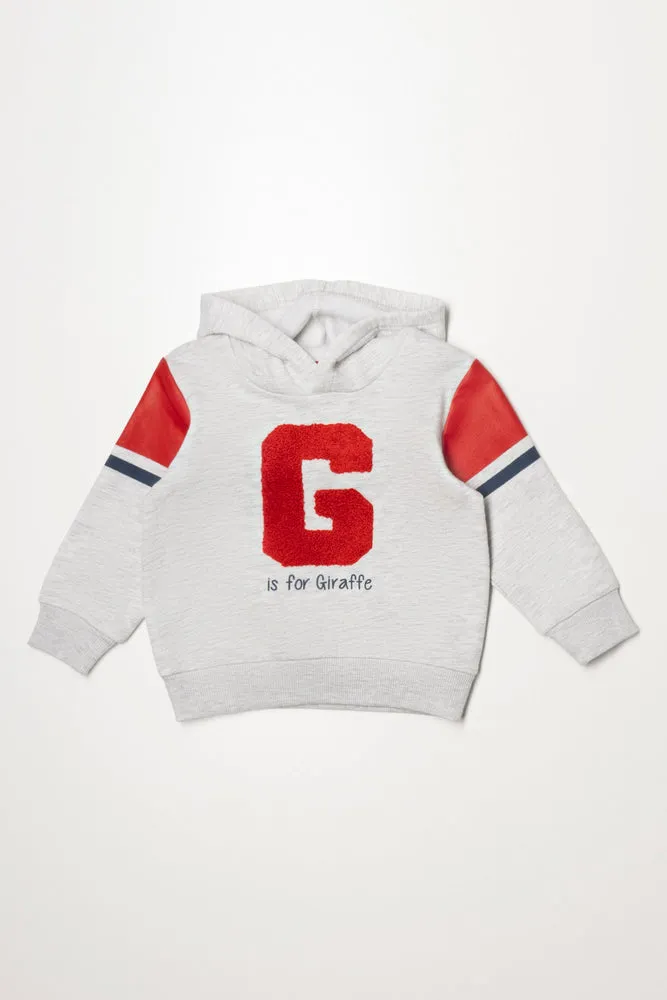 Hoodie Grey