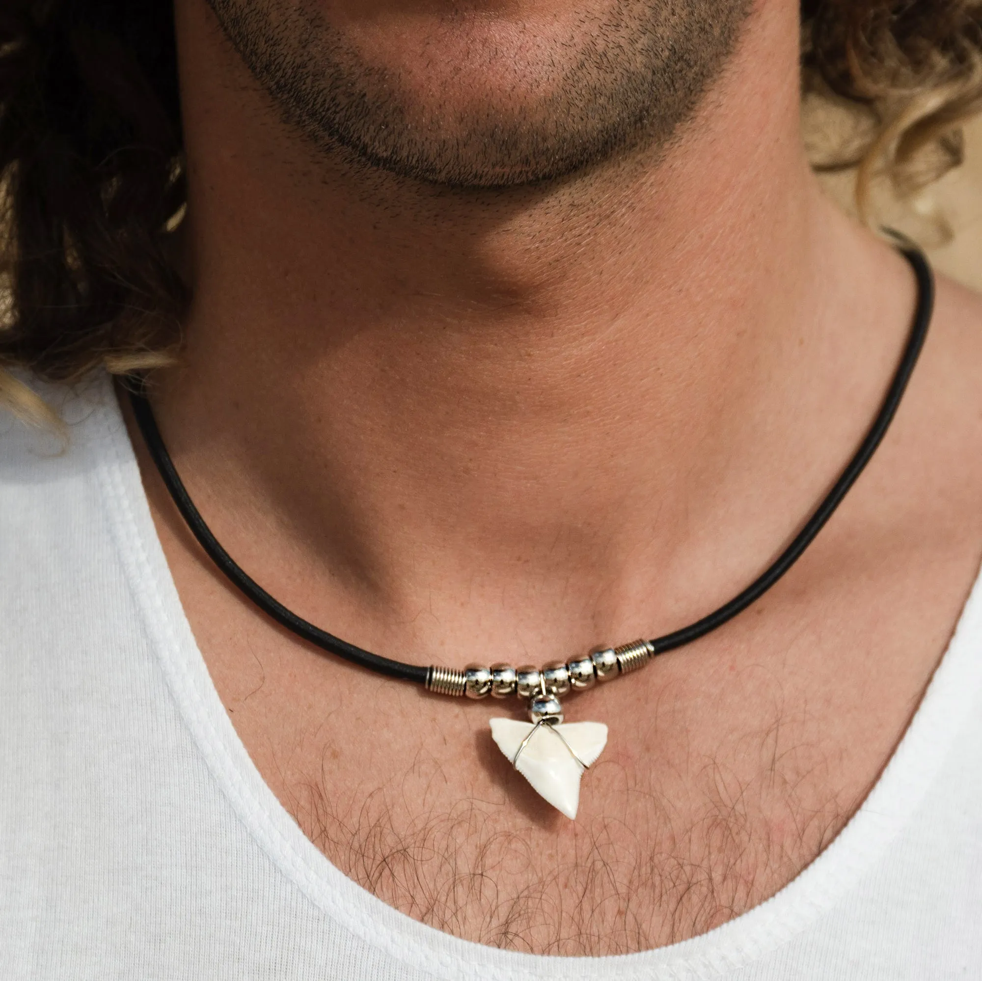 Large Bull Shark Tooth Necklace c186