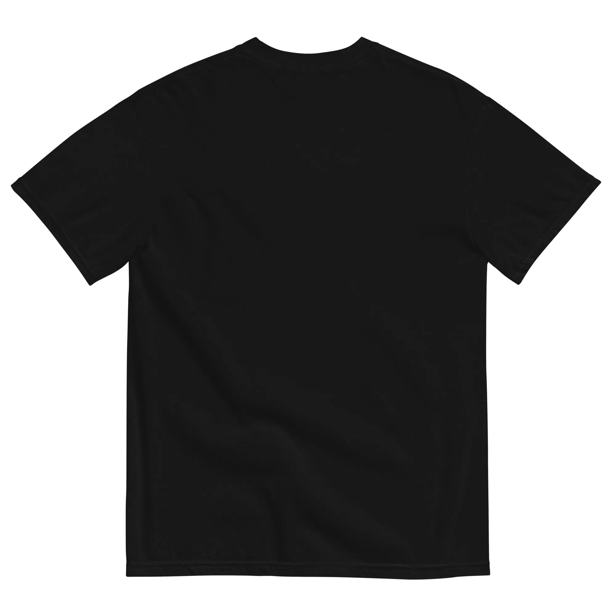 No Risk Unisex Heavyweight T-shirt