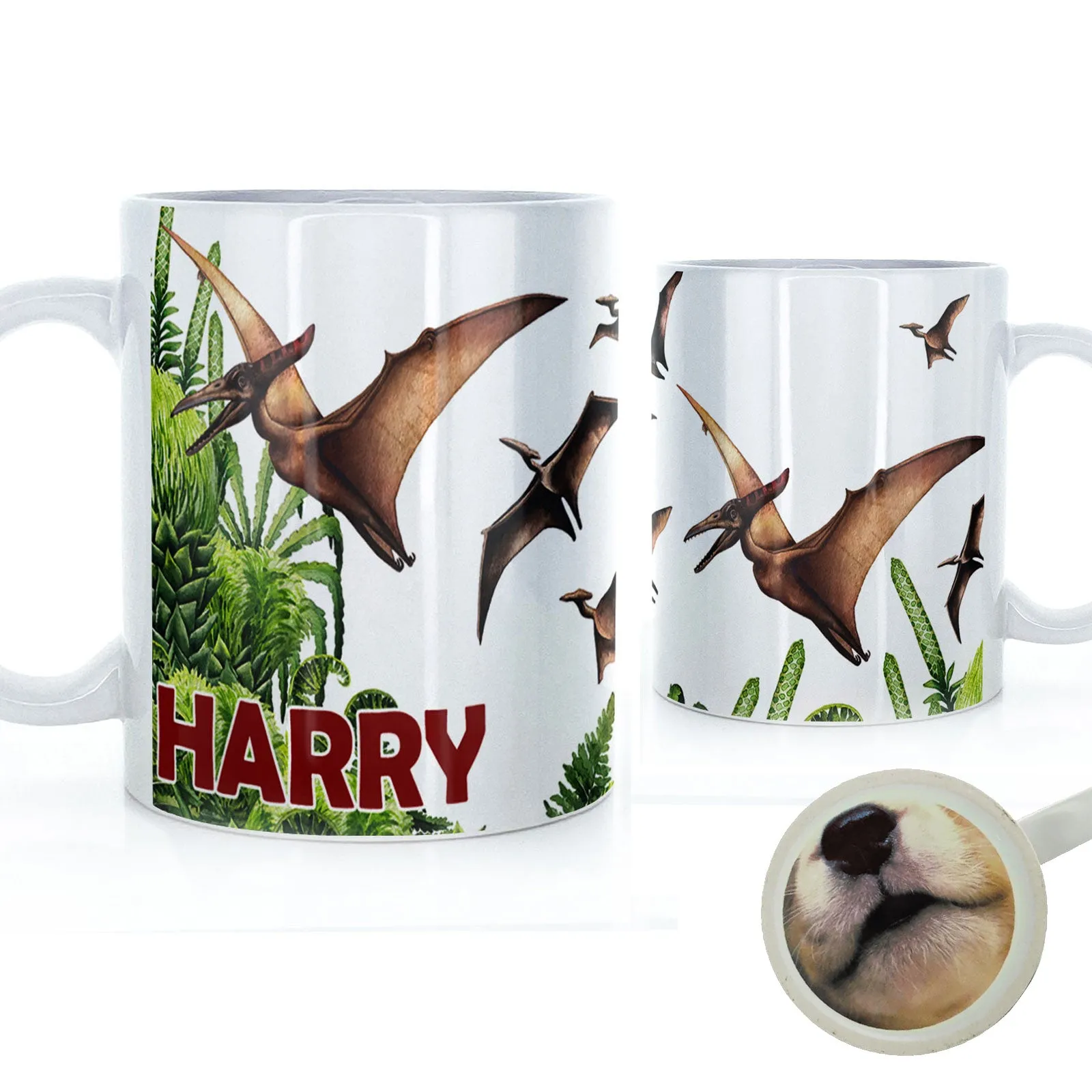 Personalised Mug with Red Bold Text and Pterodactyls