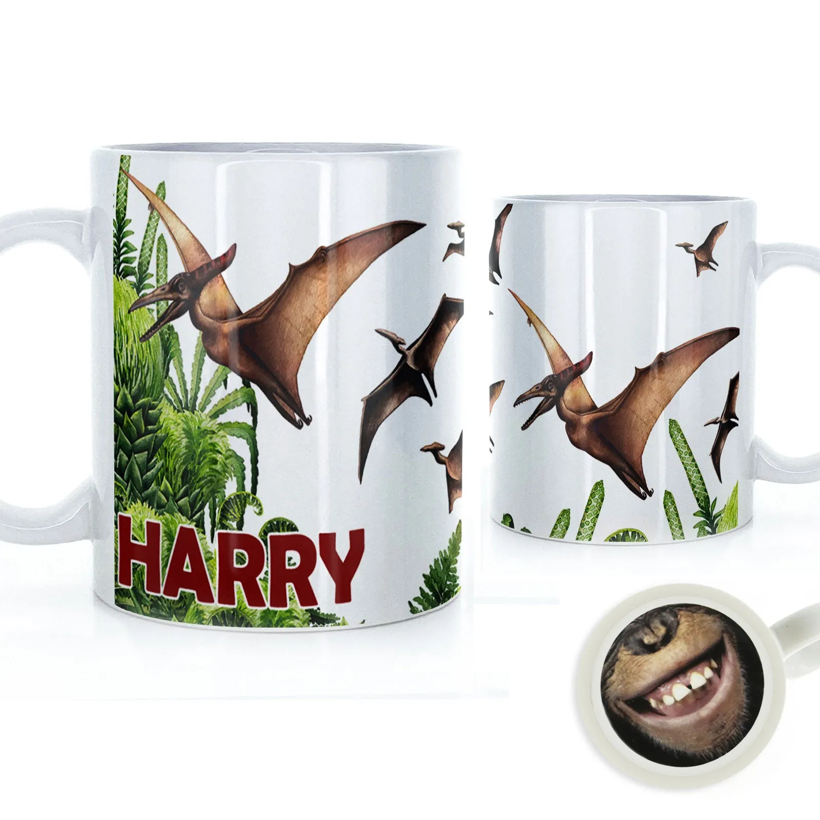Personalised Mug with Red Bold Text and Pterodactyls
