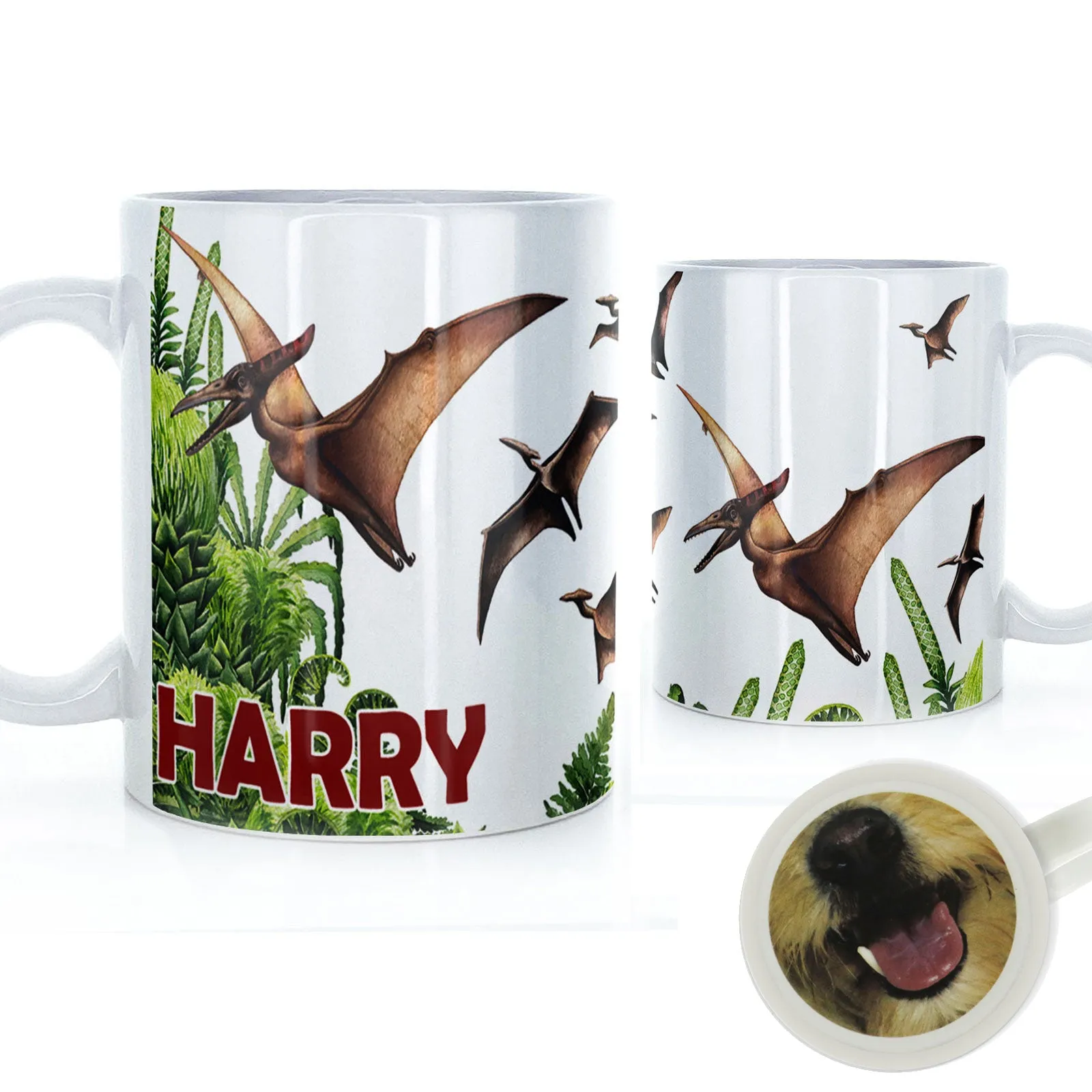 Personalised Mug with Red Bold Text and Pterodactyls