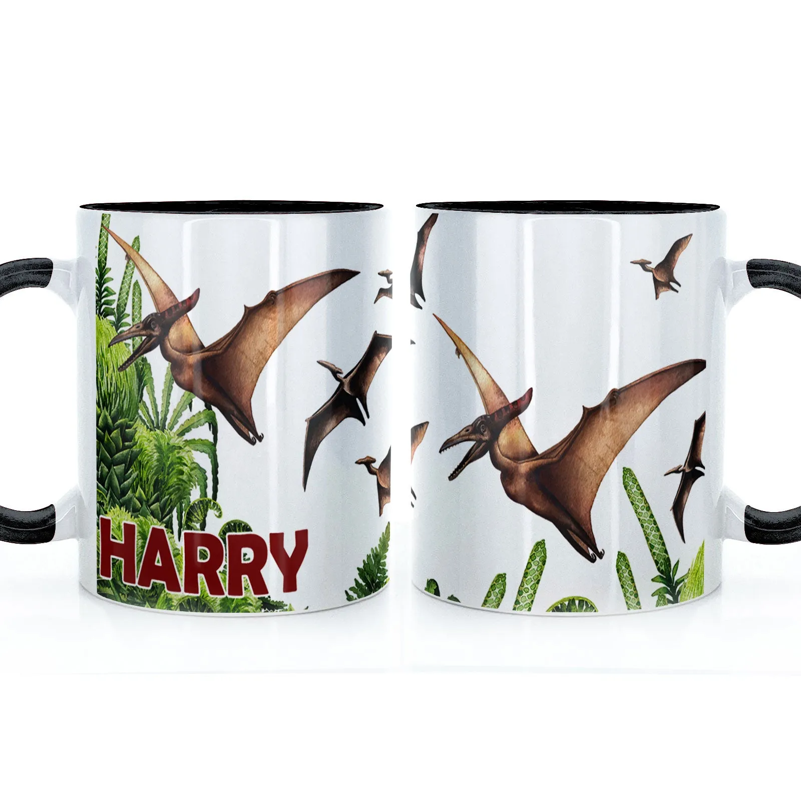 Personalised Mug with Red Bold Text and Pterodactyls