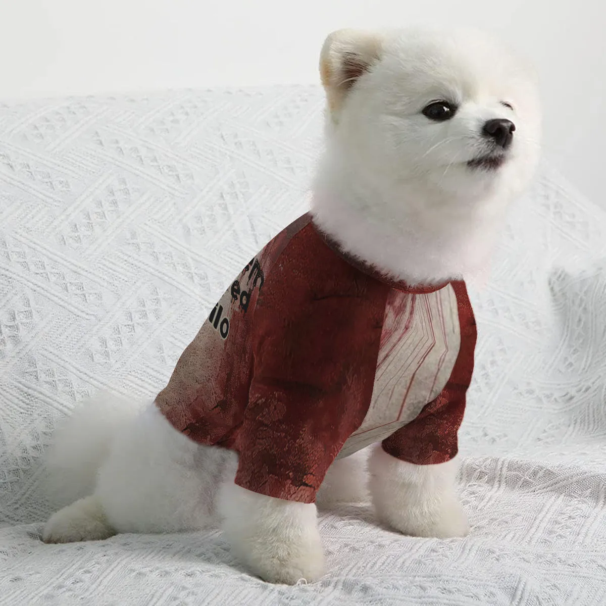 Problems Solved - Personalized Dog Pet Shirt