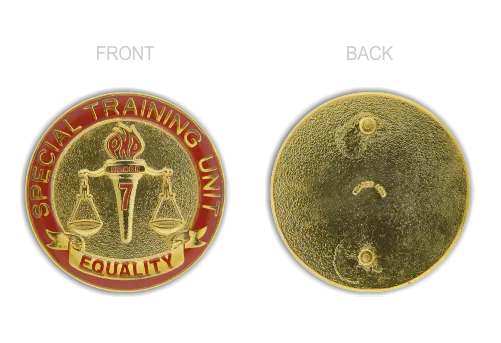 Special Training Unit (STU) Pin - PNP
