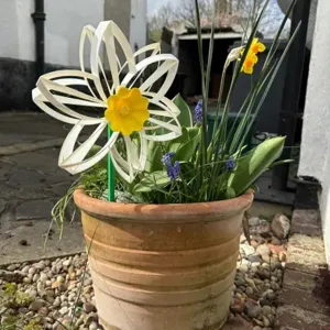 Sunflower & Daffodil Spin Magic Self-Adjusting Wind Turbines