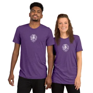Unisex Tri-Blend T-Shirt / Bella   Canvas 3413
