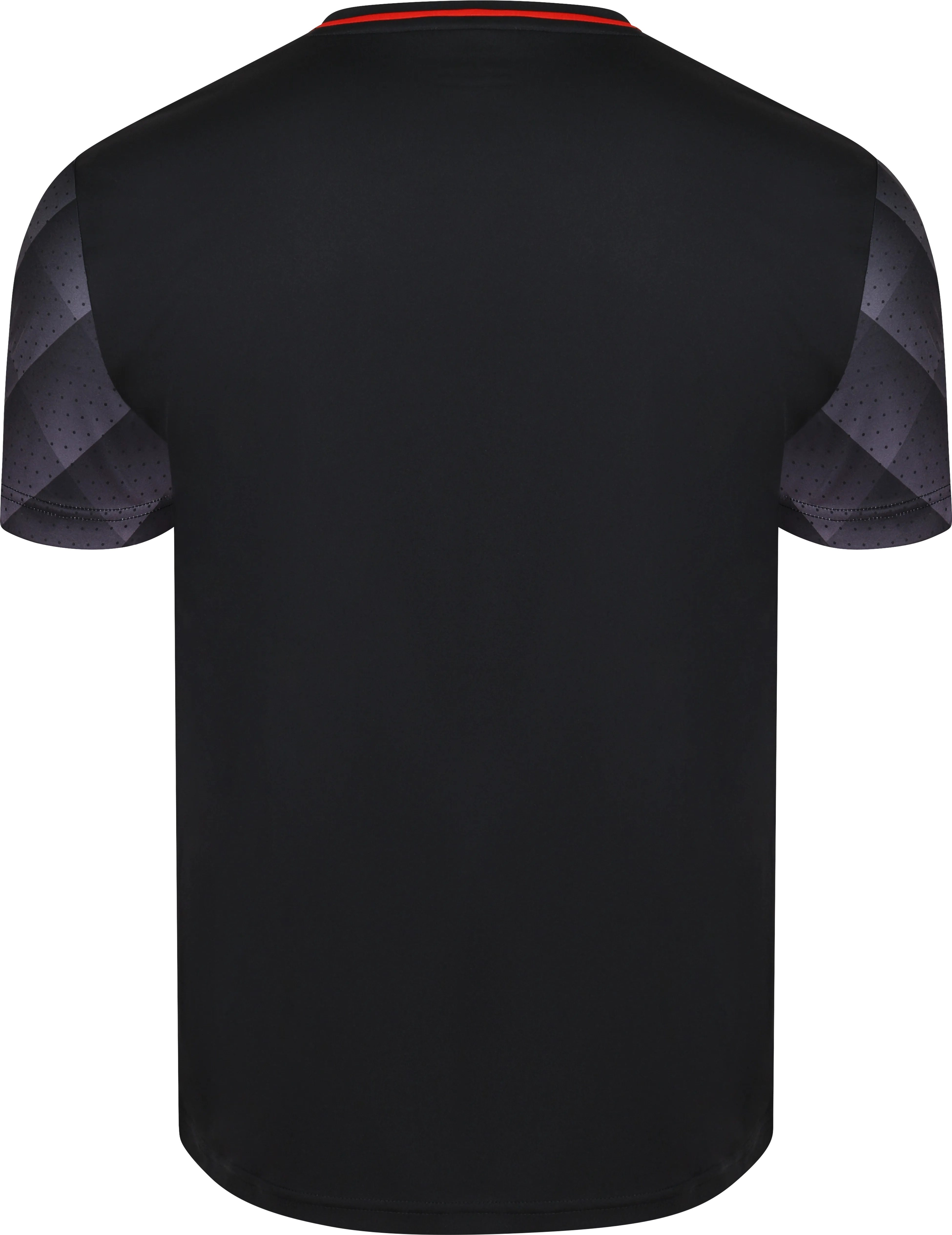 VICTOR T-Shirt T-13100 C